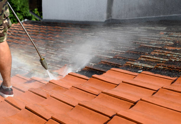 Best Roof Power Washing Services  in West Samoset, FL